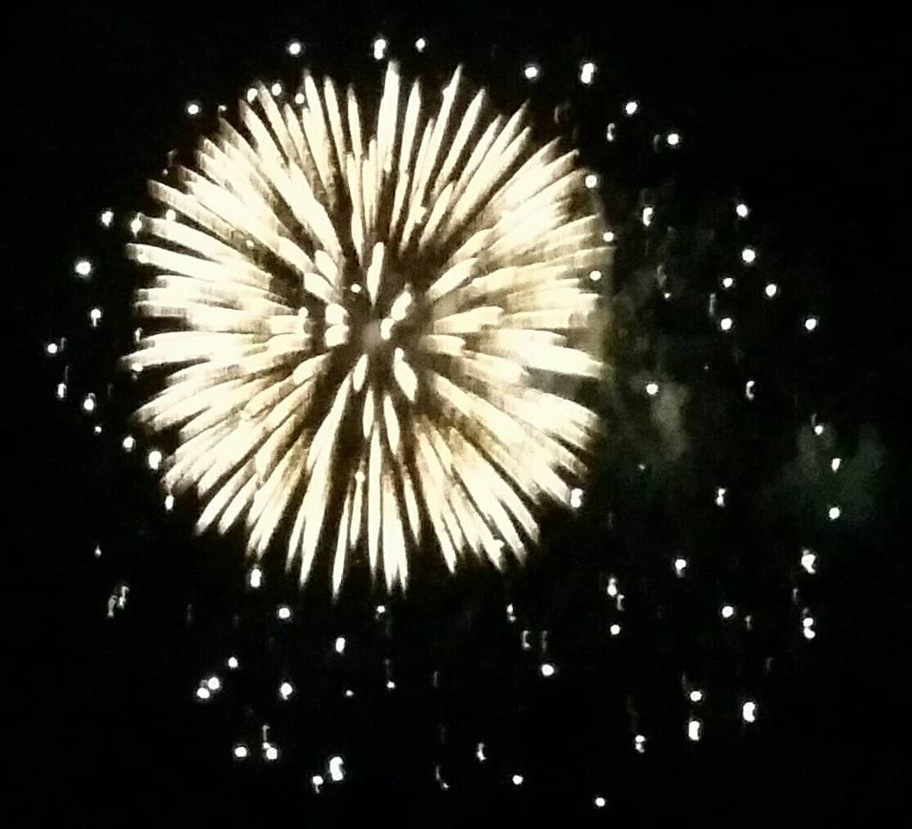 Playground & Dog Park