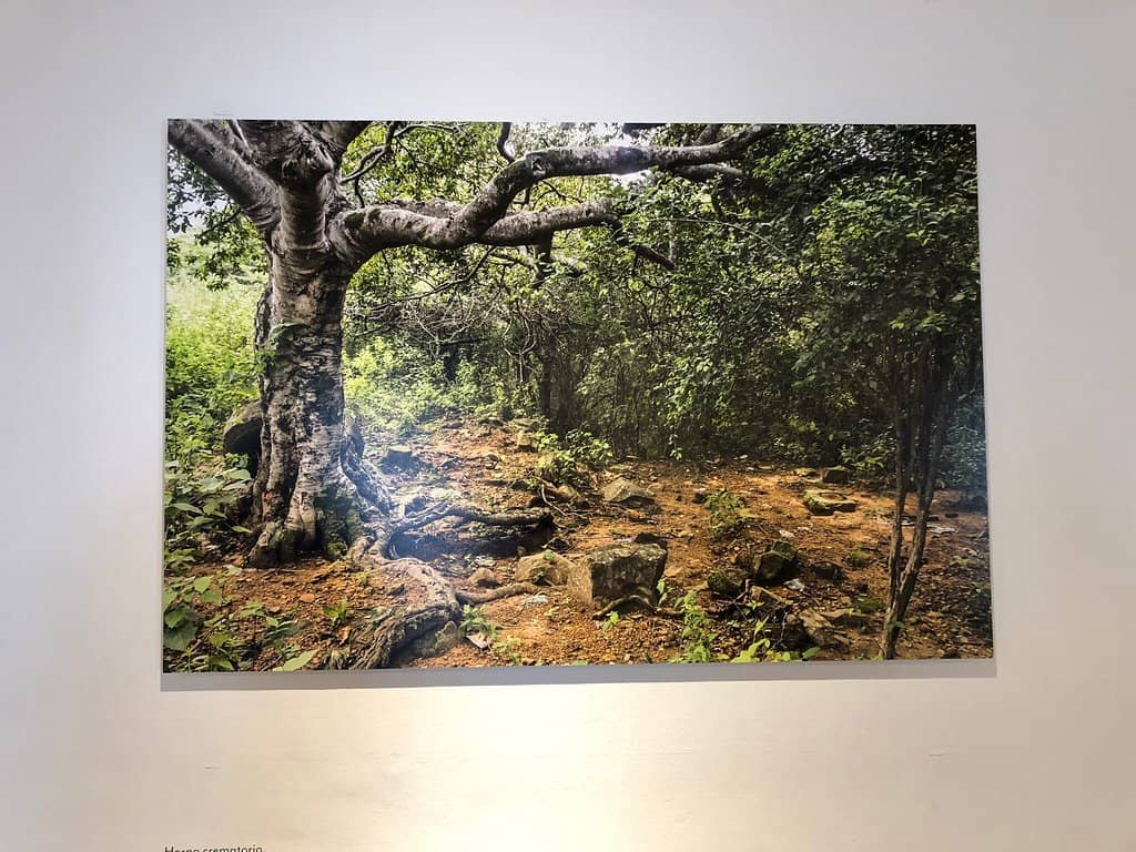 Temporary Art Exhibits