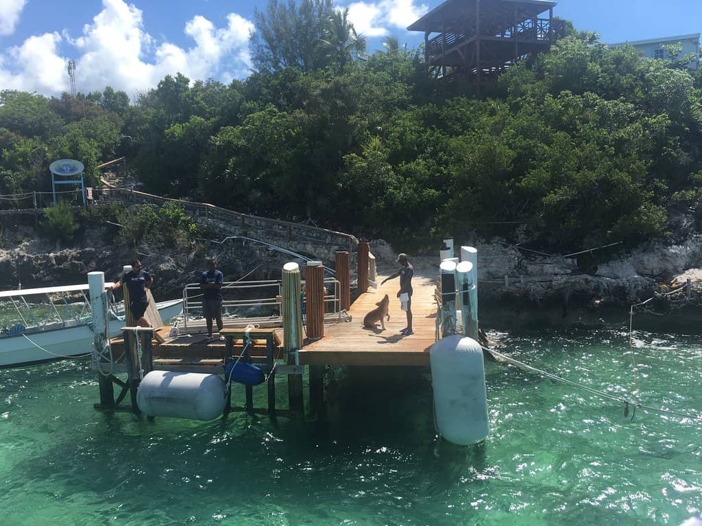 Pristine White Sand Beaches
