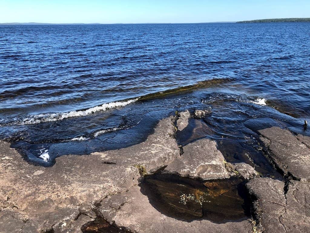 Refreshing Lake Swim