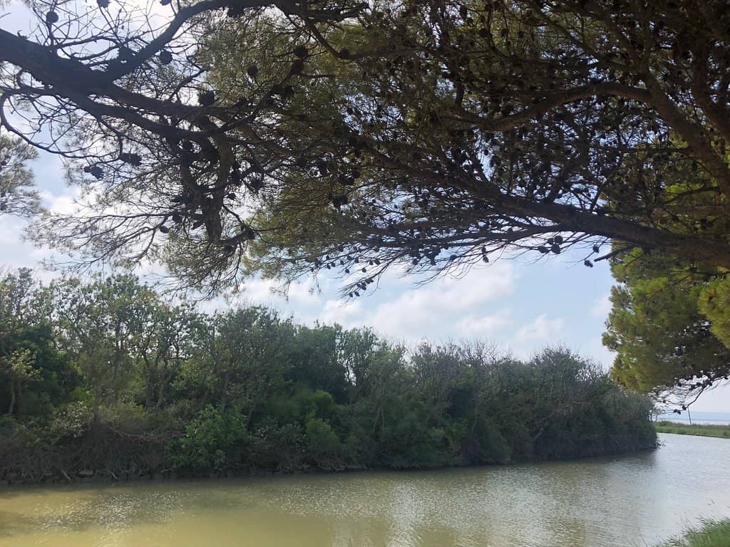 Piscines Naturelles de Cavu