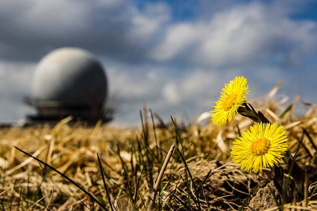 Rhön-Bob & Sommerrodelbahn