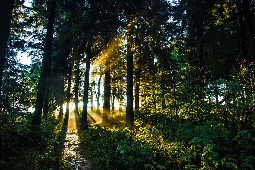 Segelflug Museum (Gliding Museum)