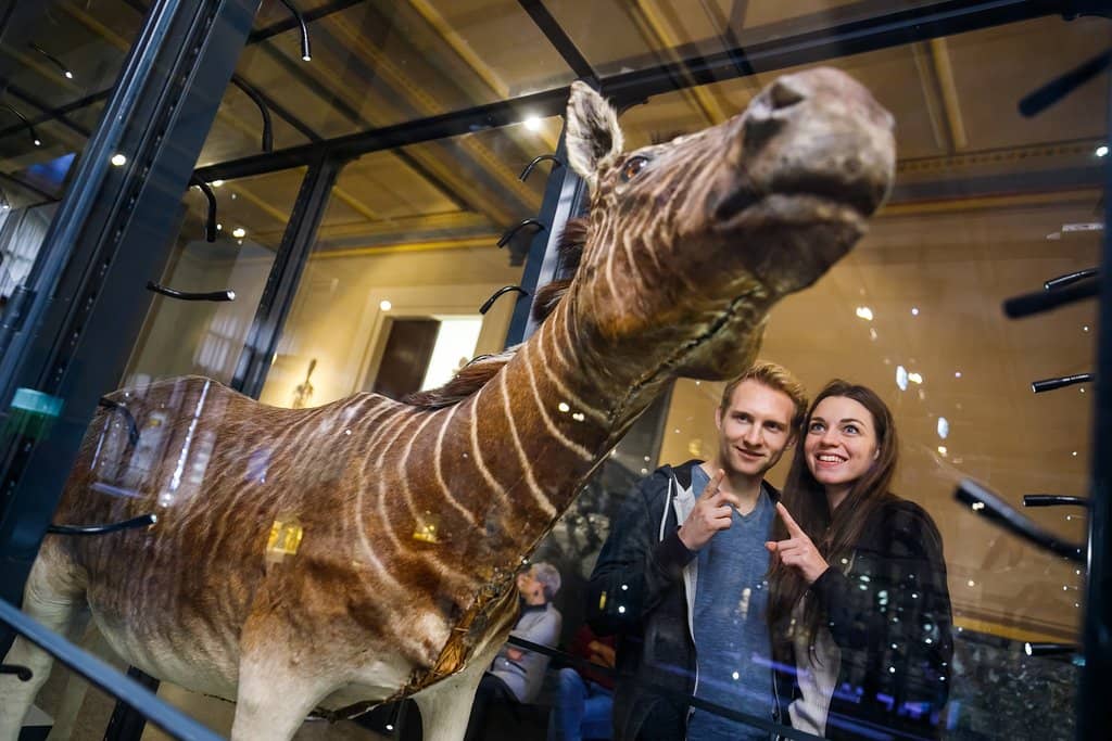 Tristan Otto T. Rex