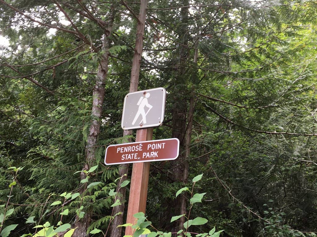 Forest Trails