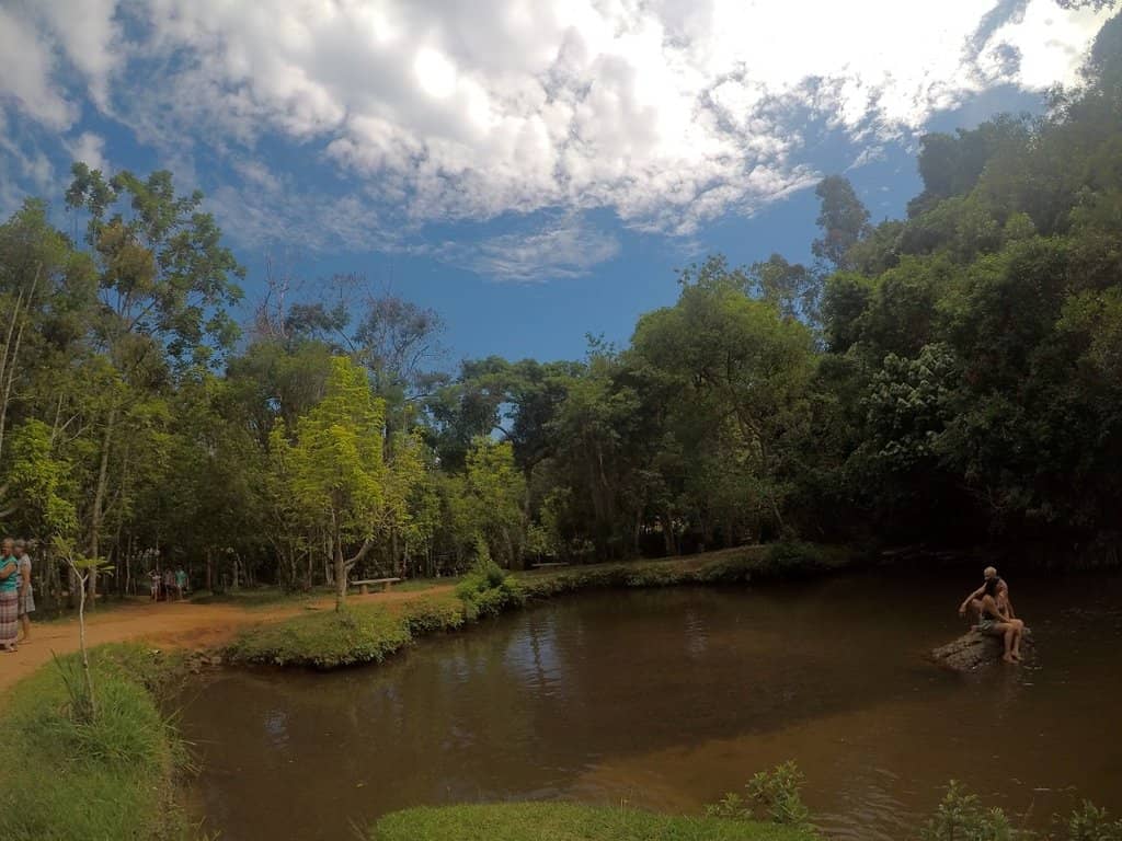 Refreshing River Swim