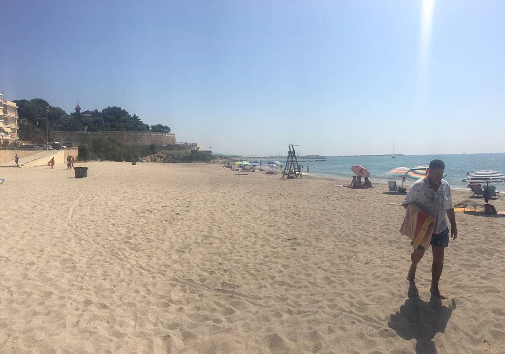 Tranquil Garden Setting