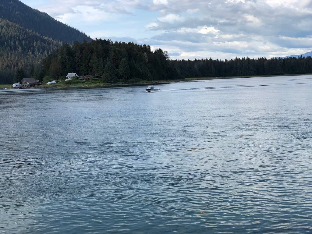 Playground and Trails