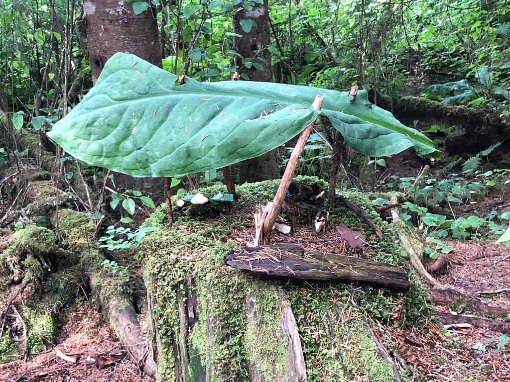 Sandy Beach Shoreline