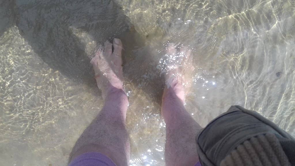 Coastal Walking Trails