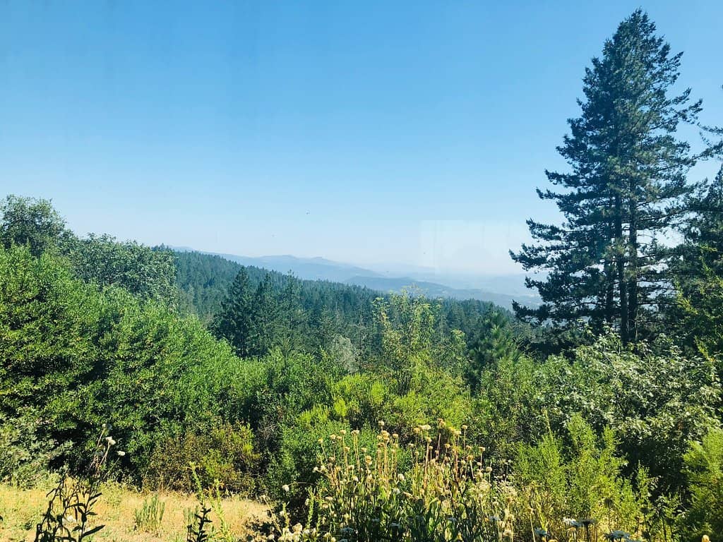 Cave Tour & Wine Cellars