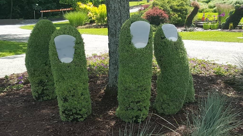 Man-Made Lake & Fountain