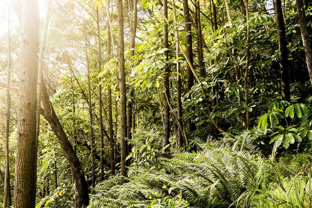 Kayak or Canoe Exploration