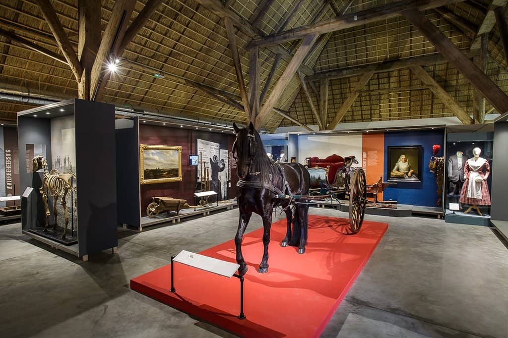 Interactive Family Activities