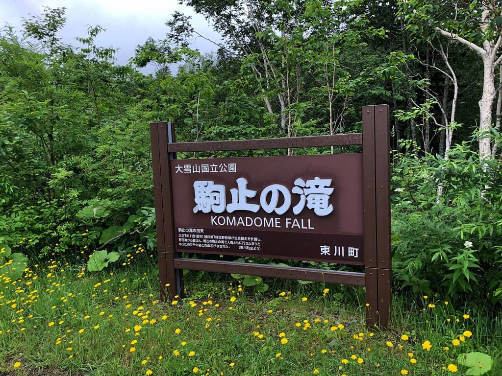 Autumn Foliage Spectacle