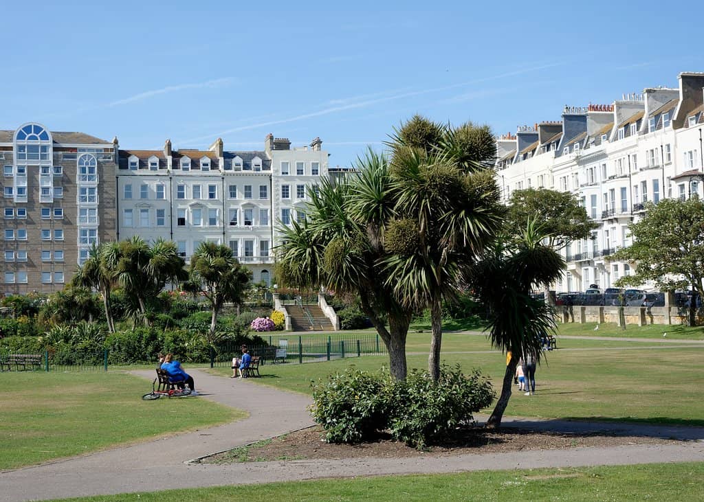 Community Art & Events