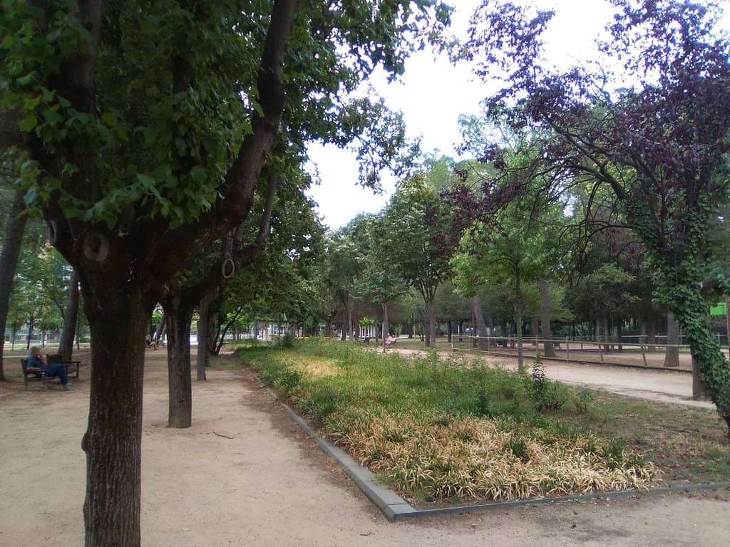Shady Picnic Spots