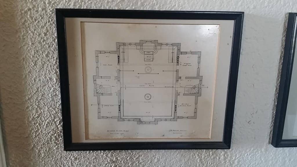 Lavender Festival Delights