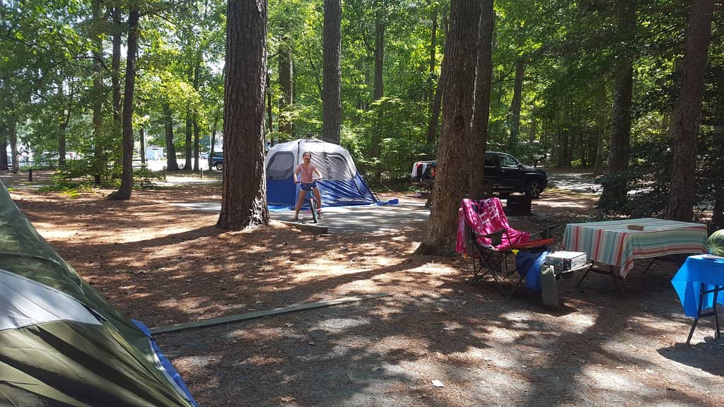 Wooded Campground Sites