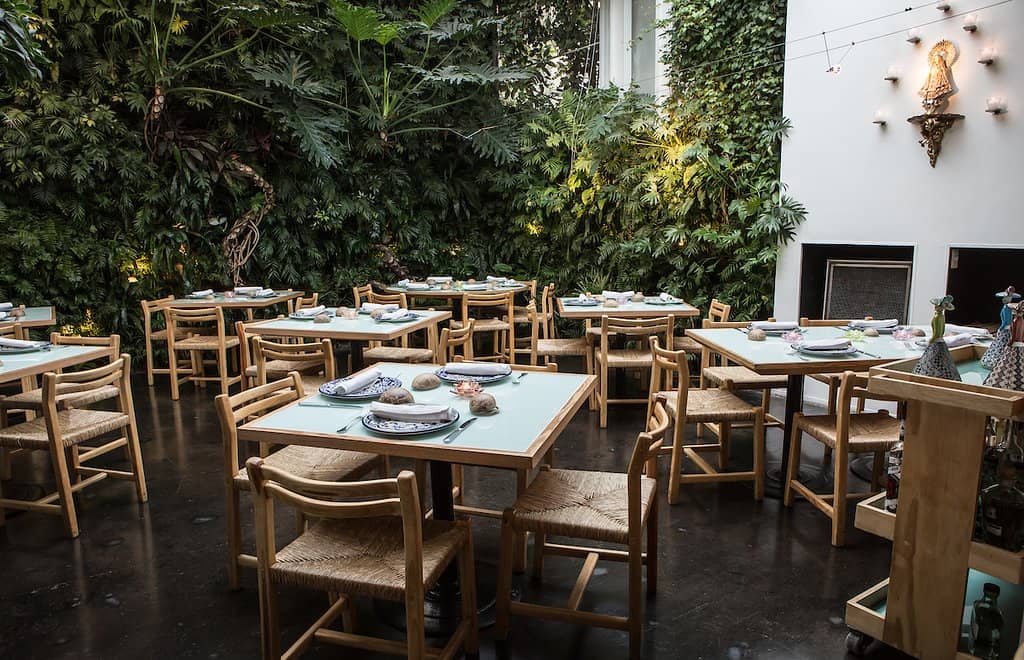 Homely Atmosphere and Attentive Service