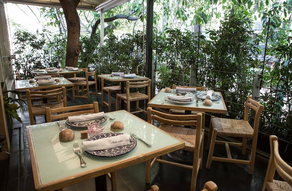 Authentic Mexican Flavors with a Modern Twist