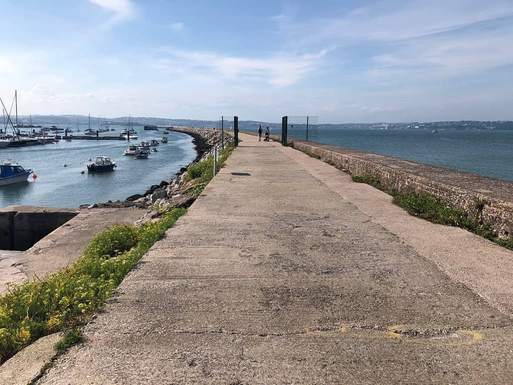 Harbour Life and Golden Hind
