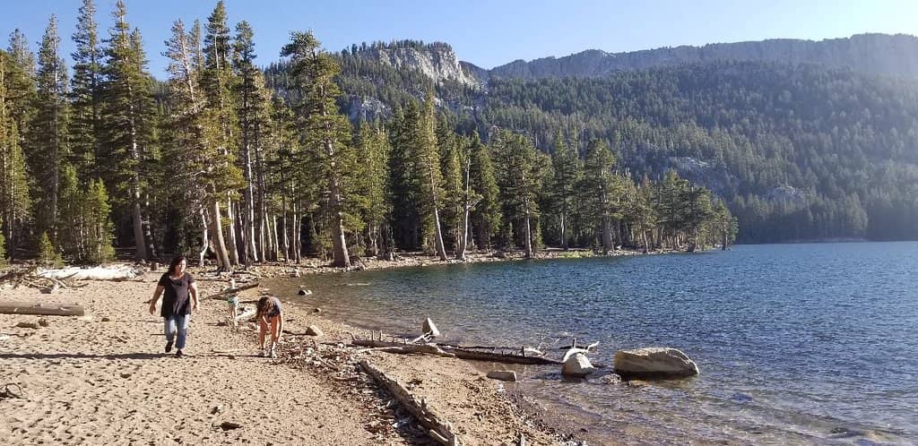 Dog-Friendly Beaches
