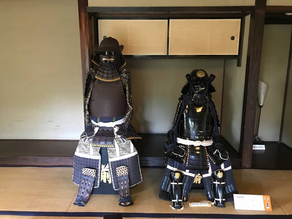 Friendly & Informative Volunteers