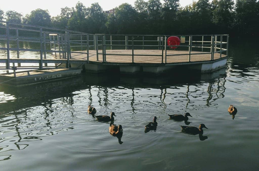 Lakeside Park