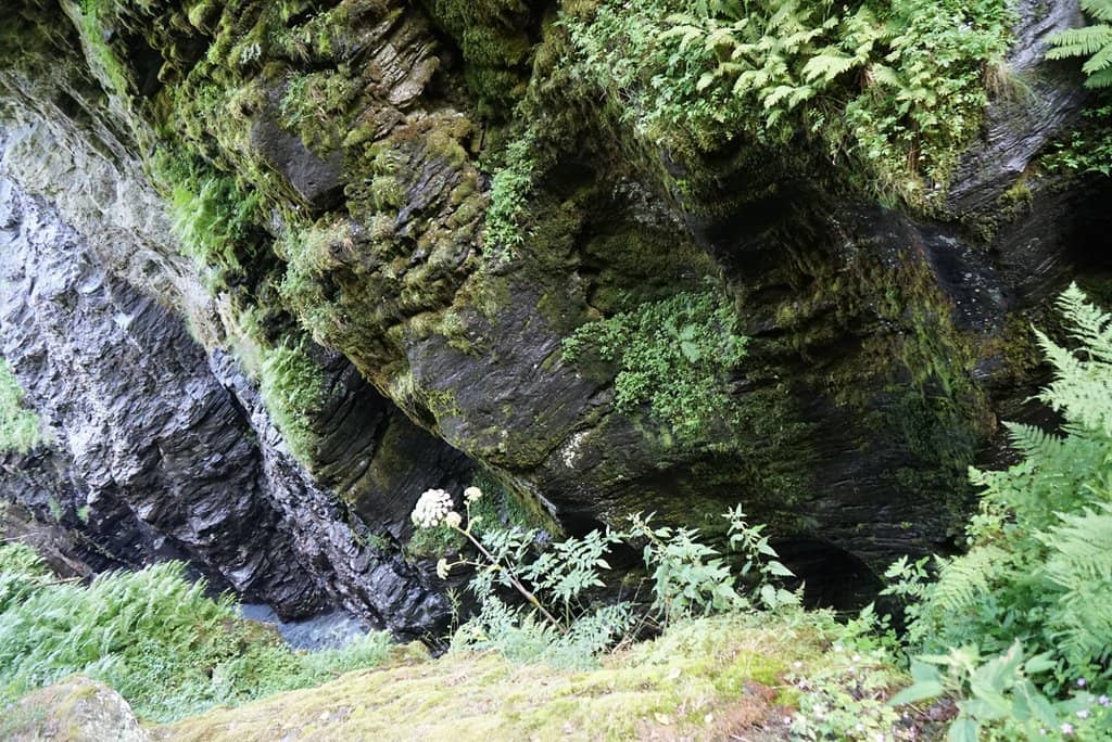 The Gorge's Dramatic Depths