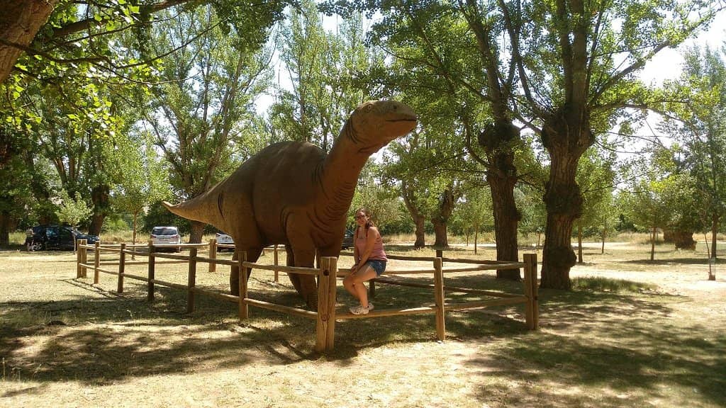 Fossil Preparation Laboratory