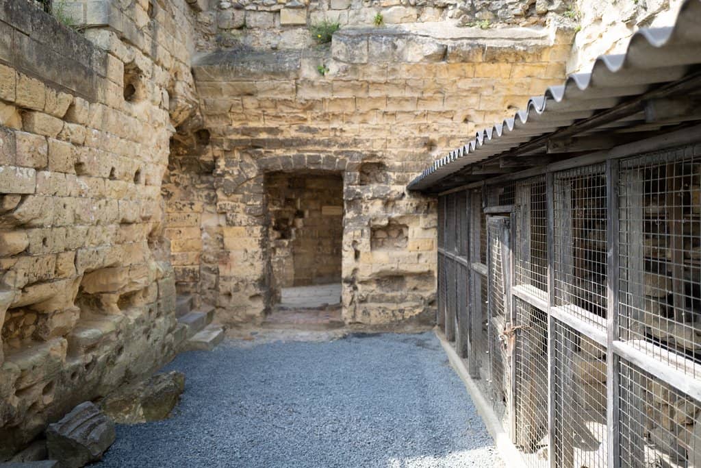 Hilltop Castle Ruins