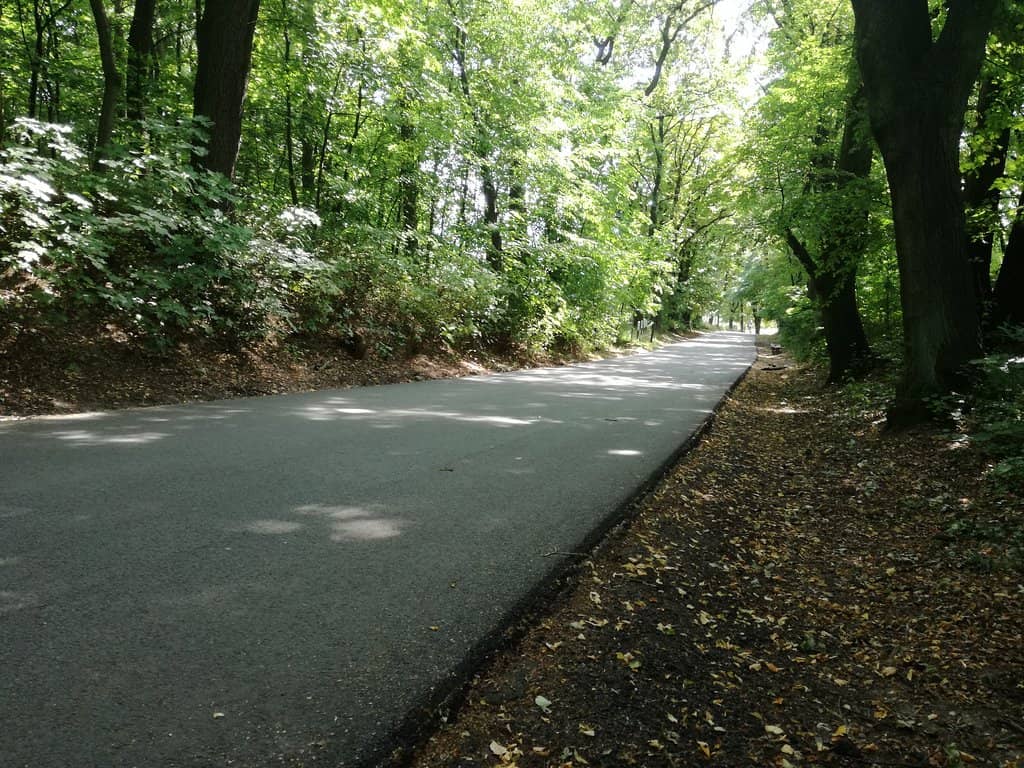 Panoramic City Views