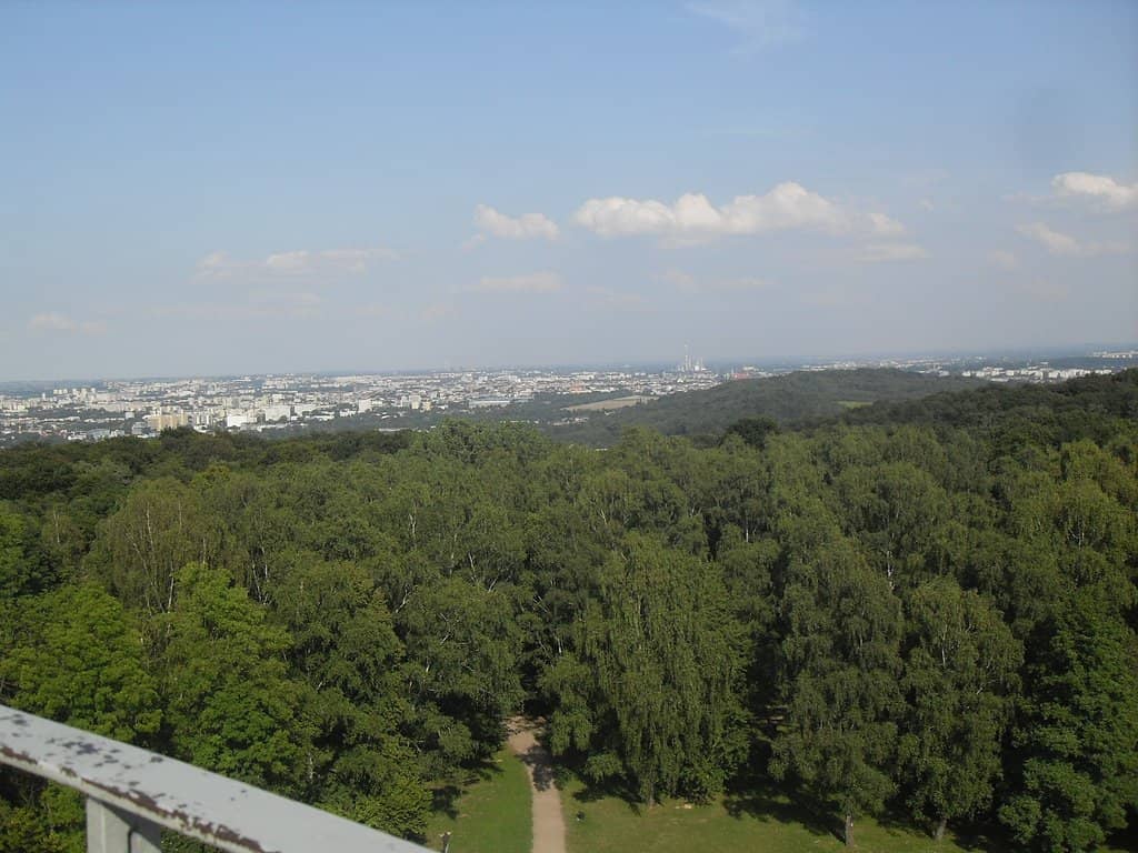 Vertical photo