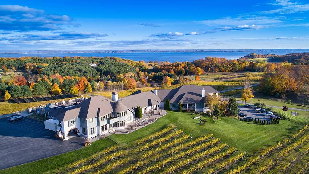 Wine Tasting Flights