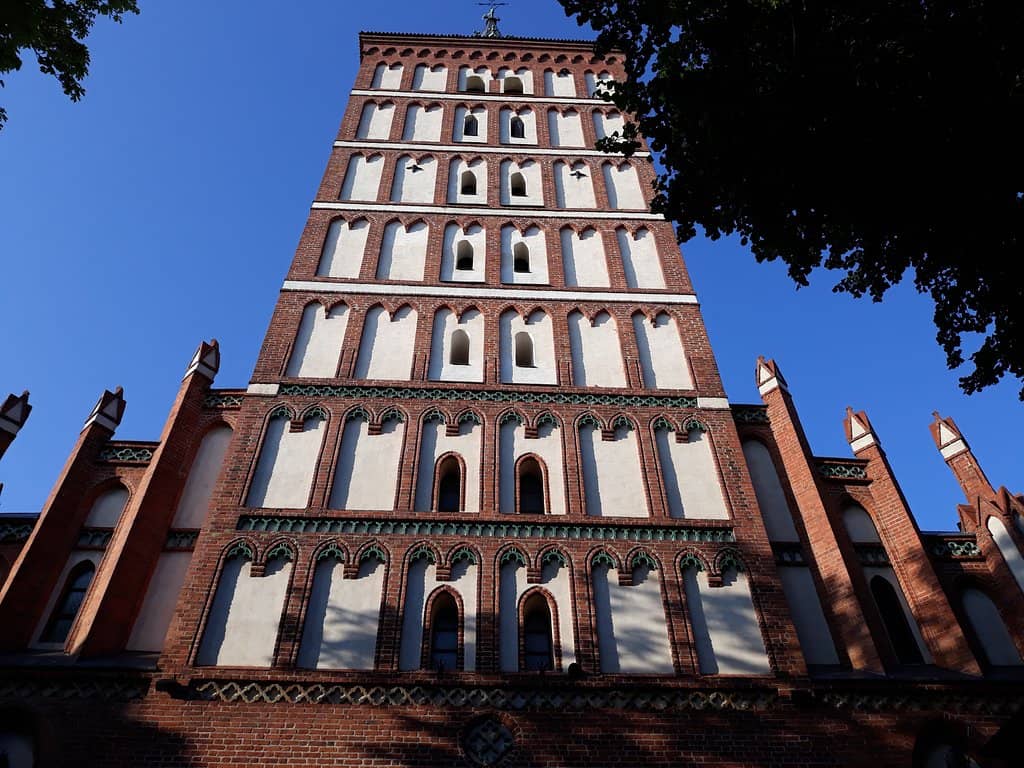 Vertical photo