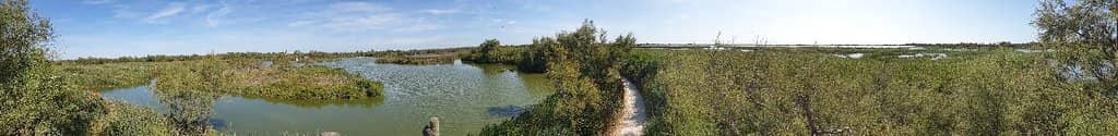 Scenic Walking Trails