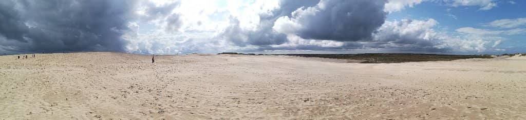 Desert-like Landscape