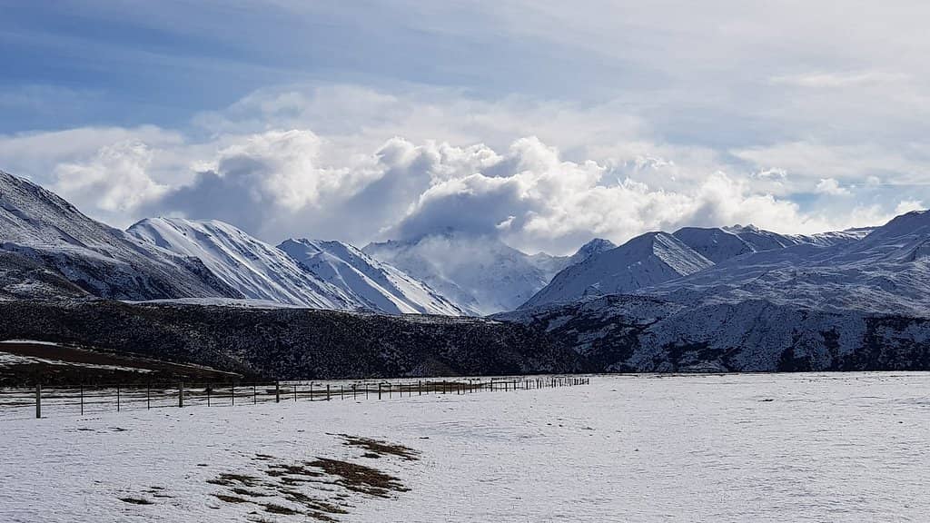 Lake Heron's Trout Haven
