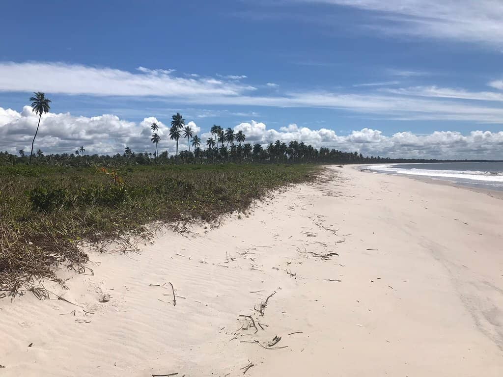 Calm River Beach