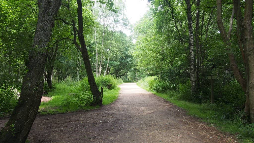Woodland Walking Trails