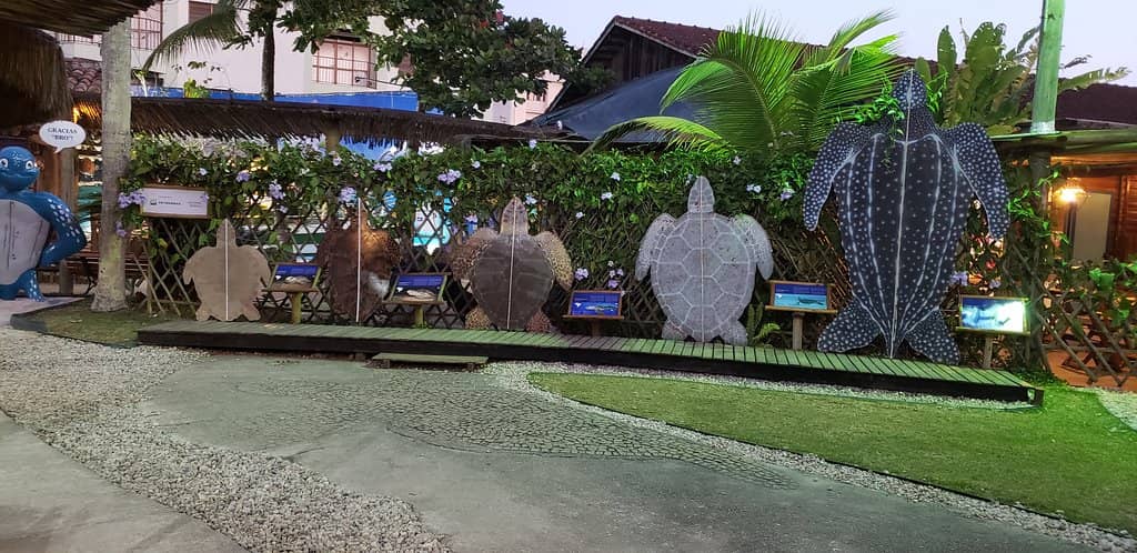 Giant Sea Turtles