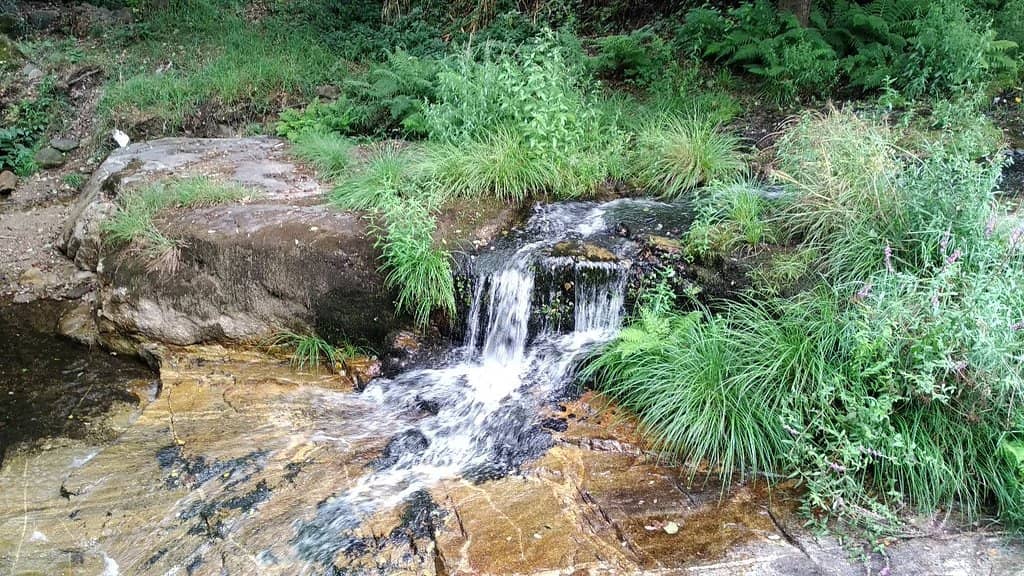 Viesques Urban Park