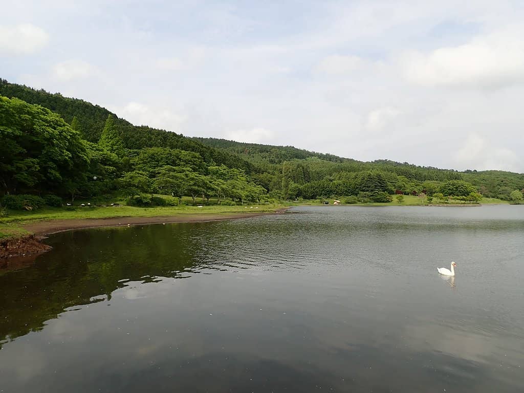 Camping Under the Stars