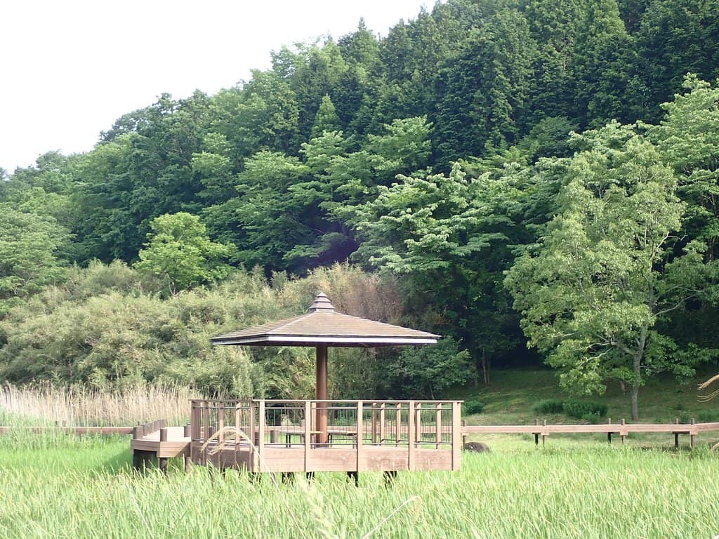 Peaceful Lakeside Walk