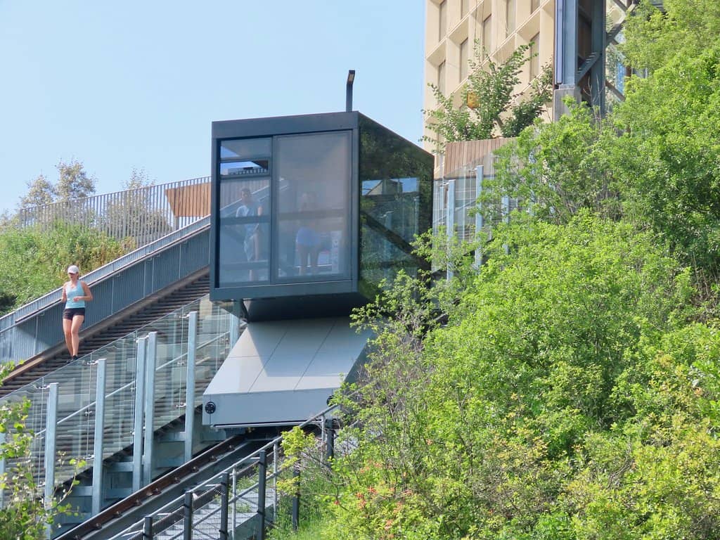 Downtown Cityscape Views