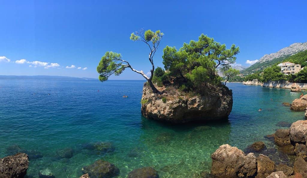 Vertical photo