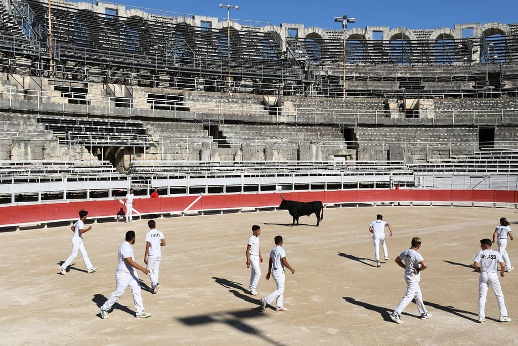 Gladiatorial Reenactments