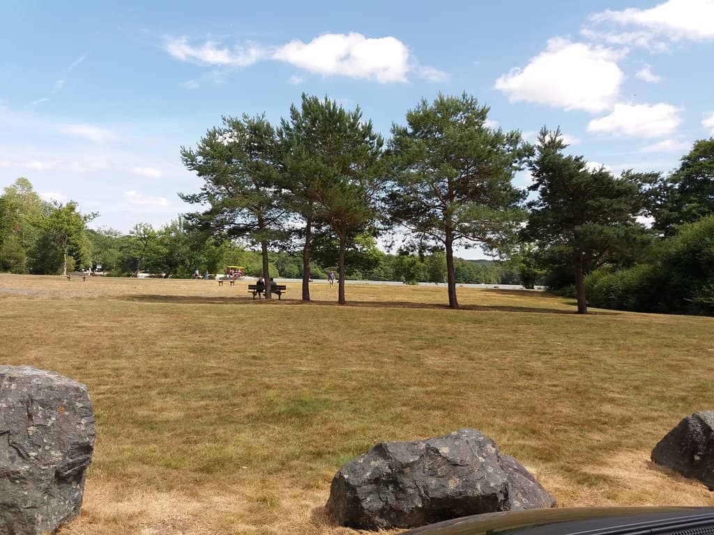 Lakeside Walks & Wildlife