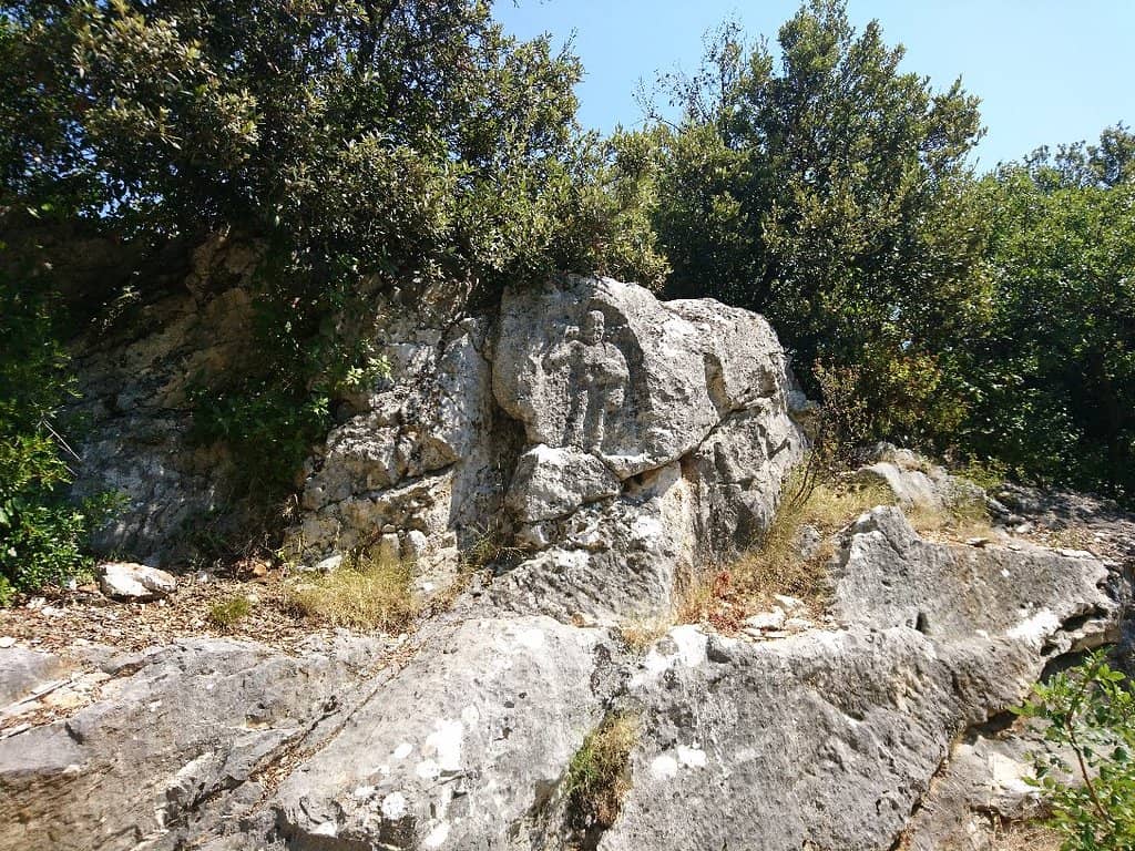 Vertical photo